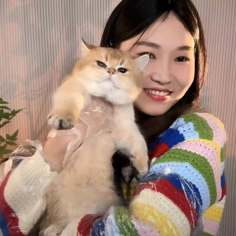 琪宝萌猫