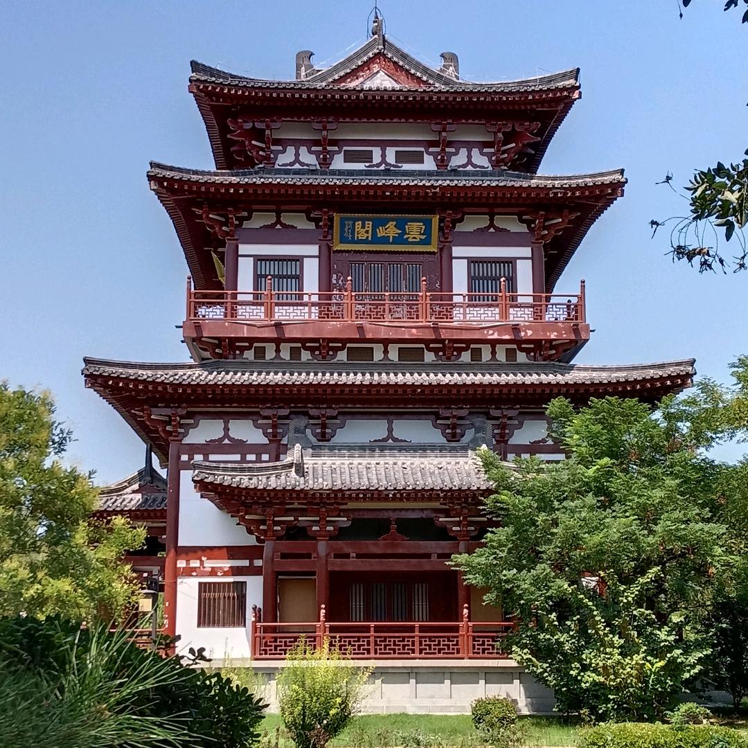 余生随心
