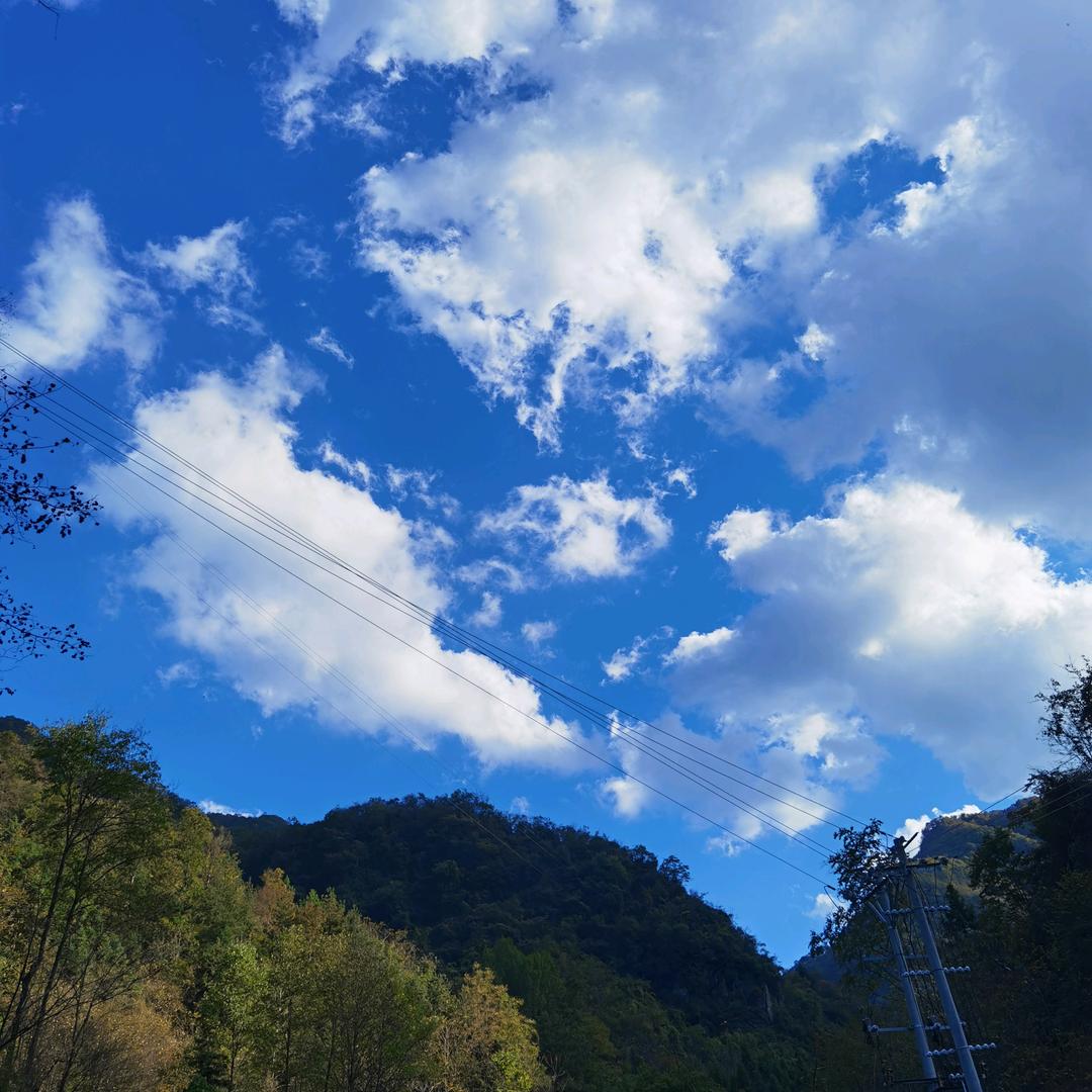 -陪着小沫同学吃鱼