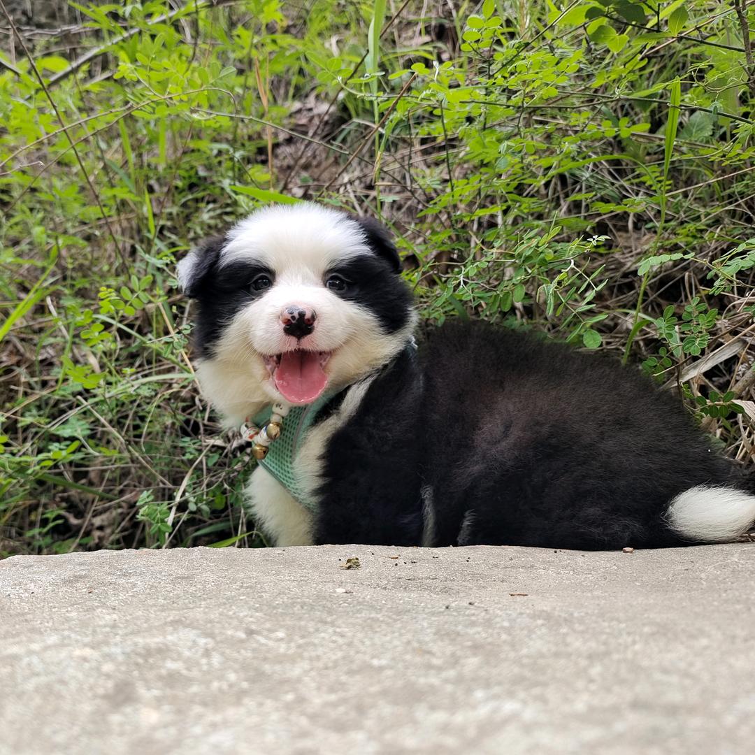 🌈睡不好会变笨的☞