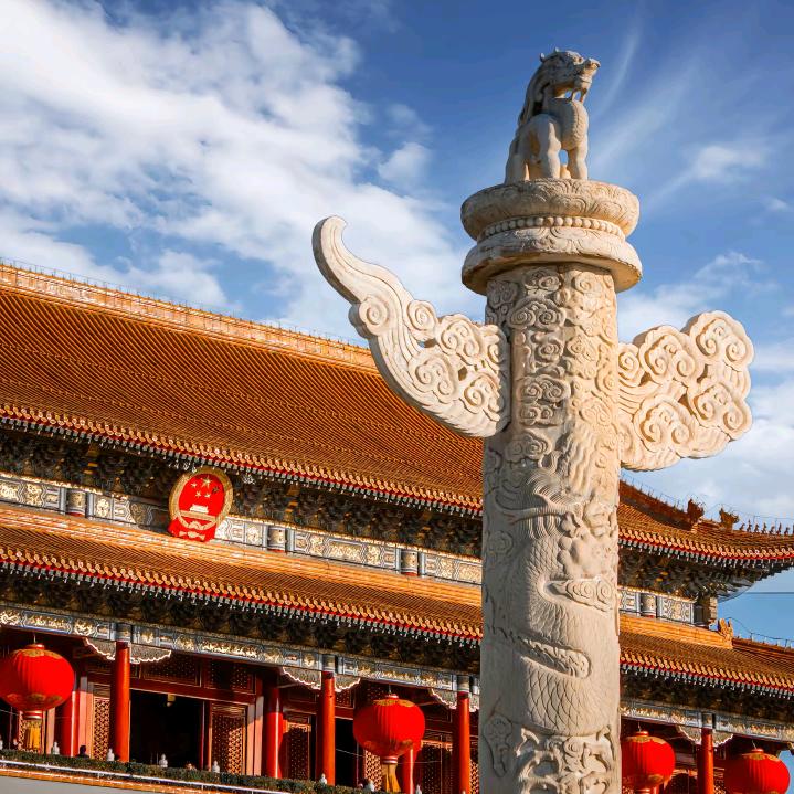 河南高校本科+专科（转专业)