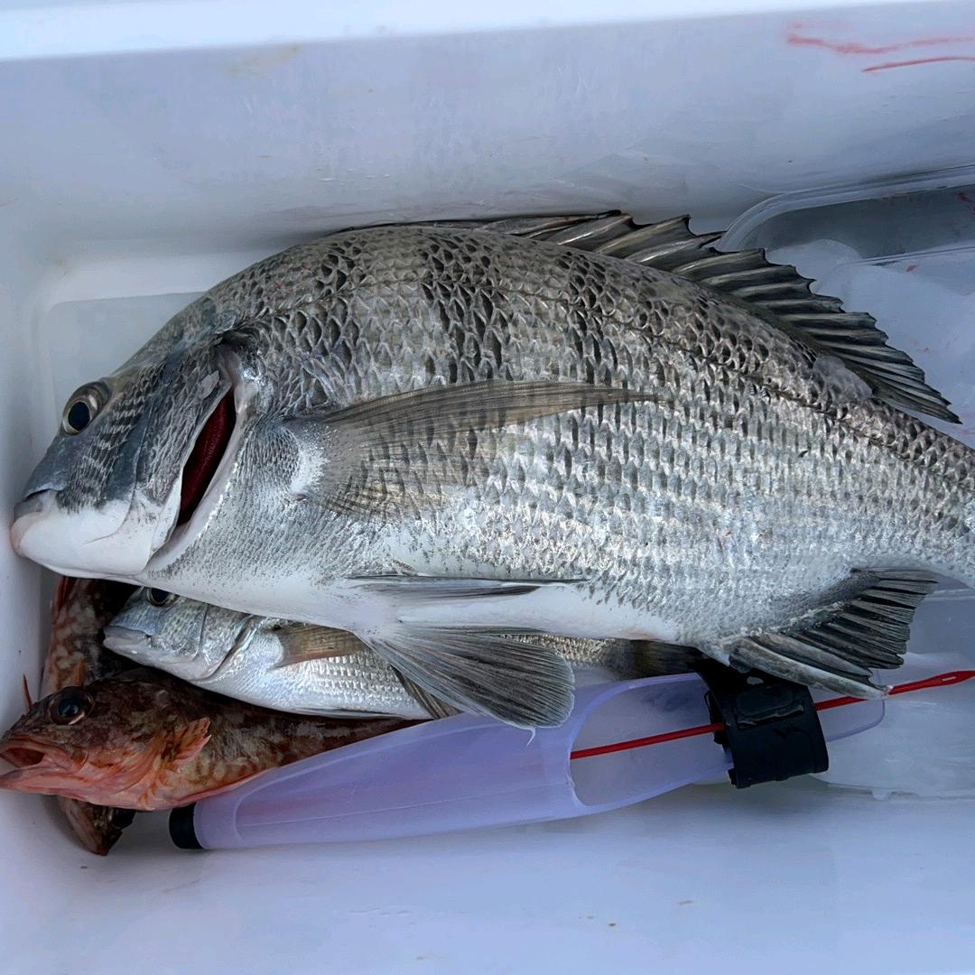 曾经沧海难为水