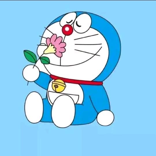 小黎哥哥🧸小号