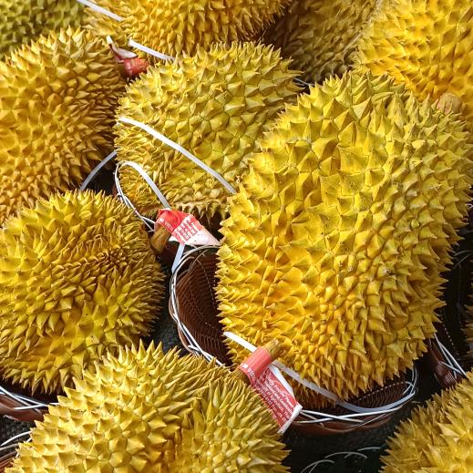 蜜果森林(佳兆业店)无所畏惧