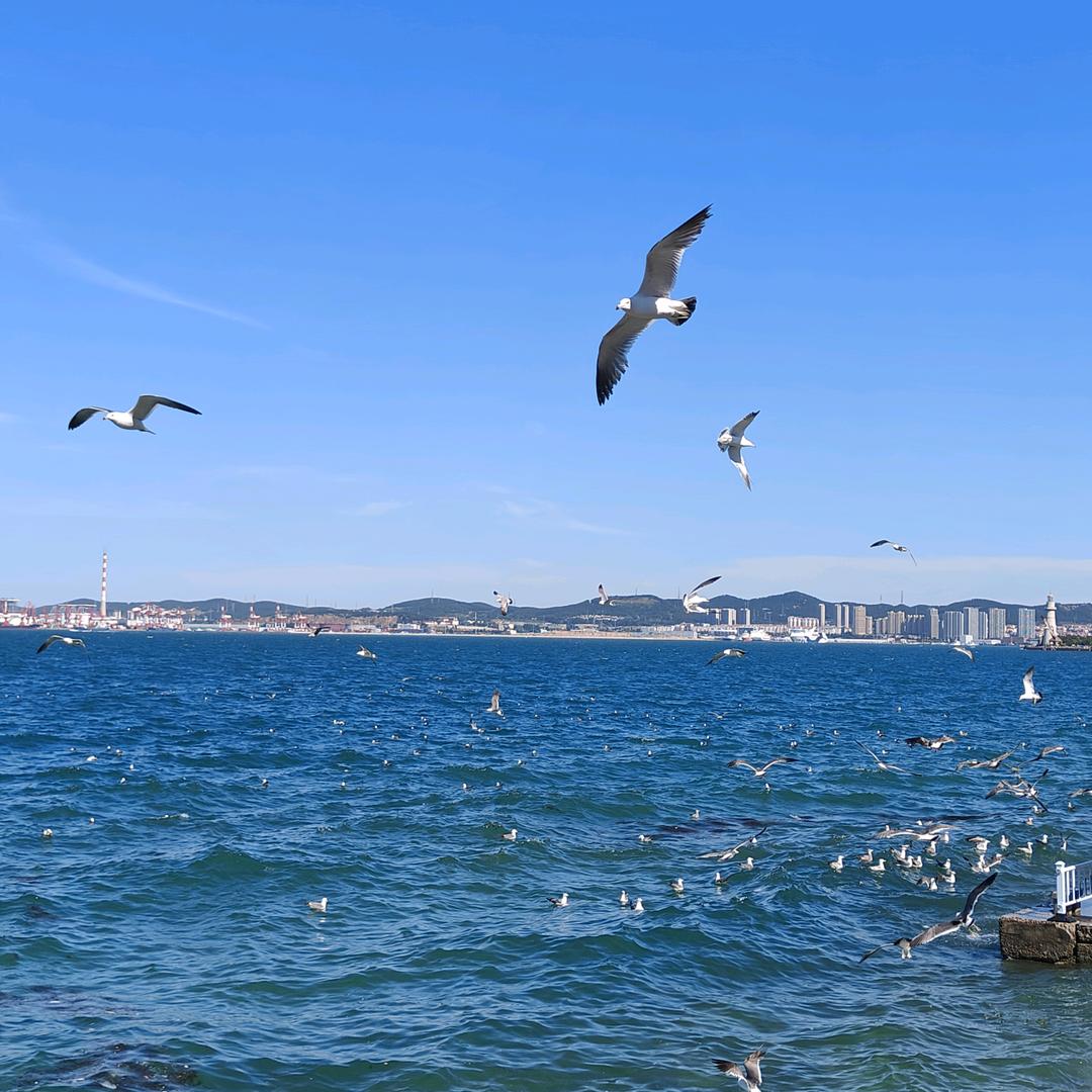 ঞᩚ情ᩚ归ᩚდᩚ何ᩚ处ᩚ💞