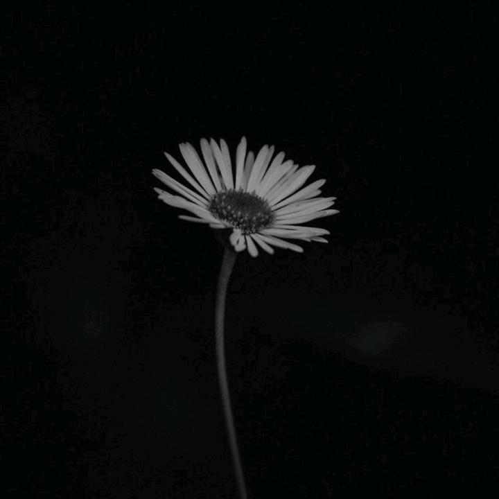 এ᭄封心ꦿ锁爱⁵²⁰