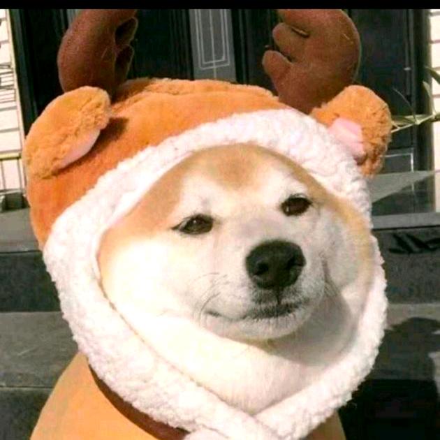 星星～