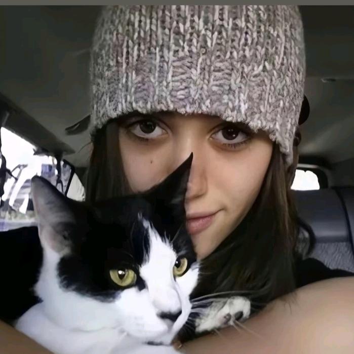 ……
