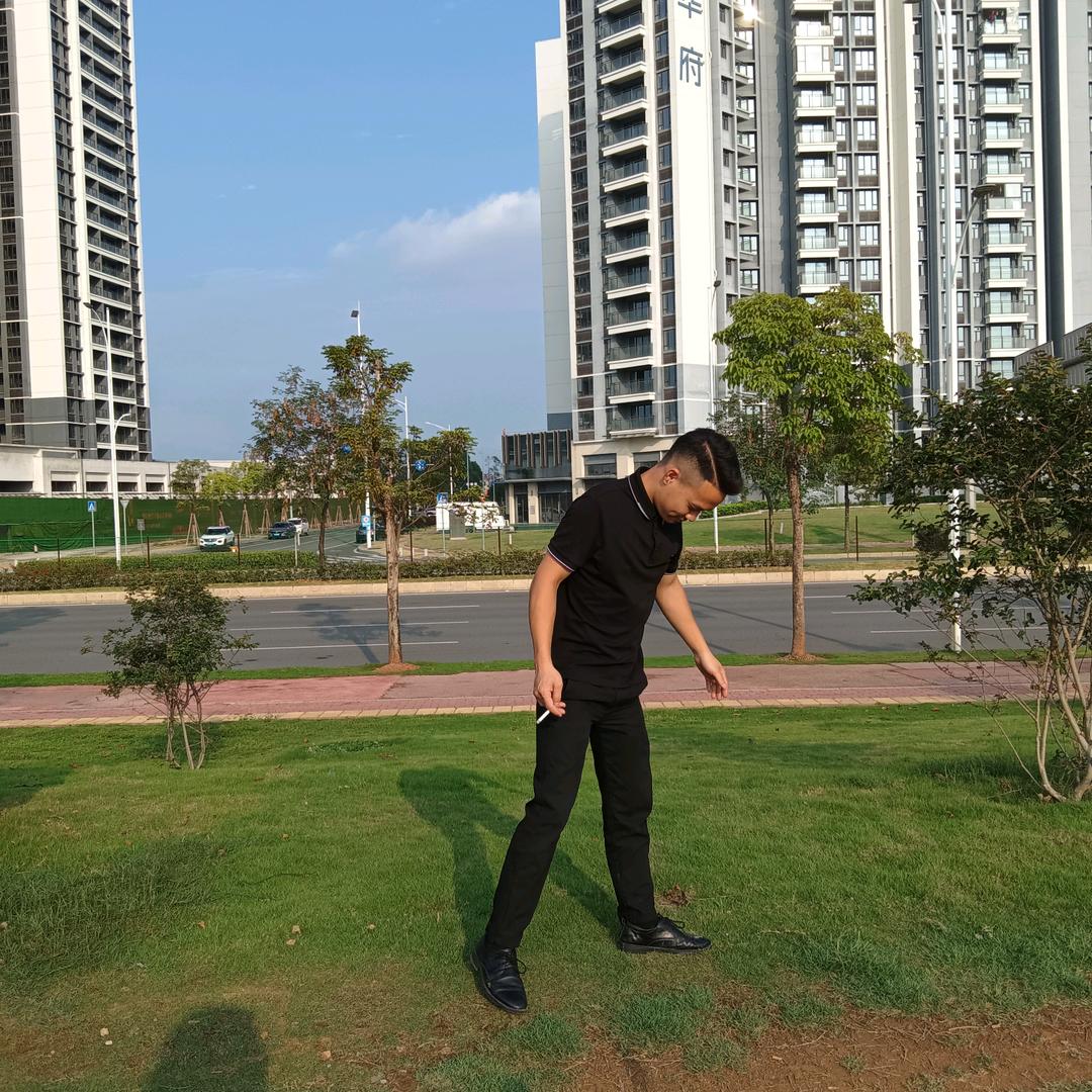 《油龚》《钓鱼》《机长》