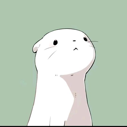 薛之谦    你的关注