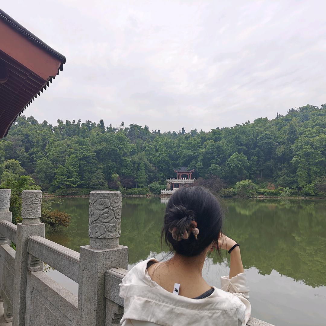 荒 (竹笛纯享版)