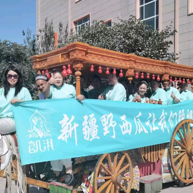 新疆凯湃野西瓜巩玉