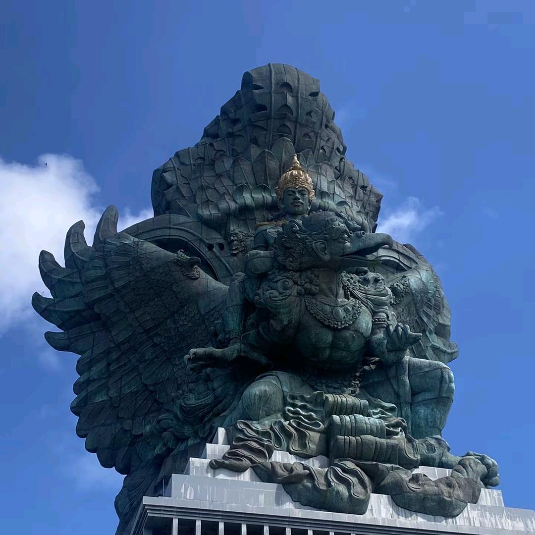阳光人生