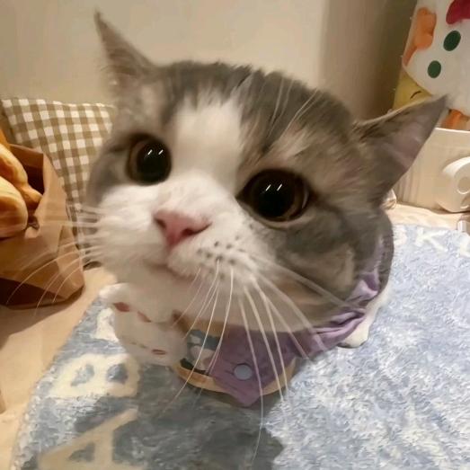 >ㅅ<