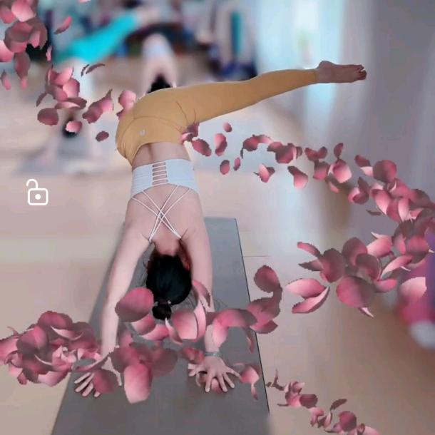 🌻李木子🌻
