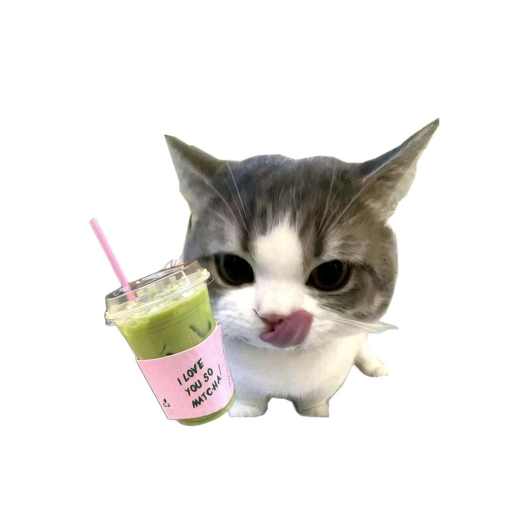 王王碎冰冰