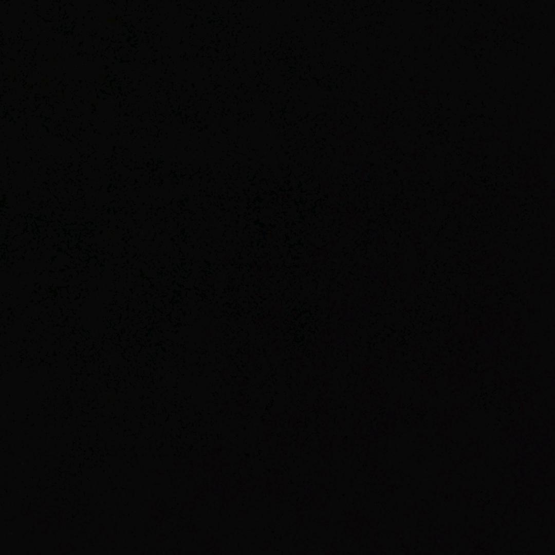 猫猫不吃橙子（减肥版）