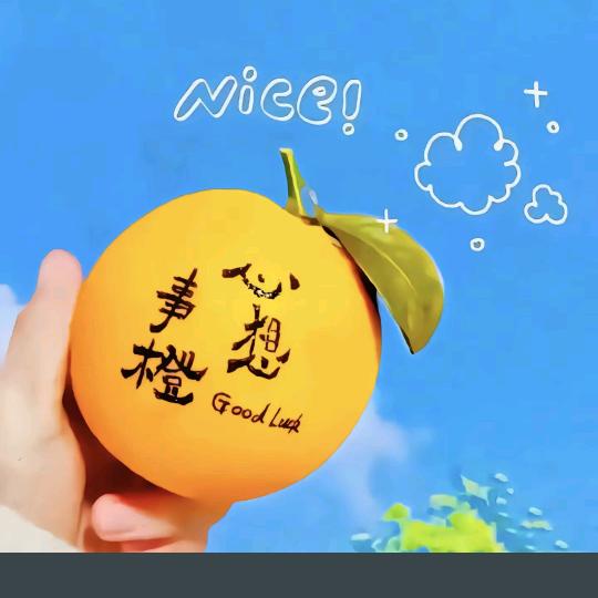 萍萍姐