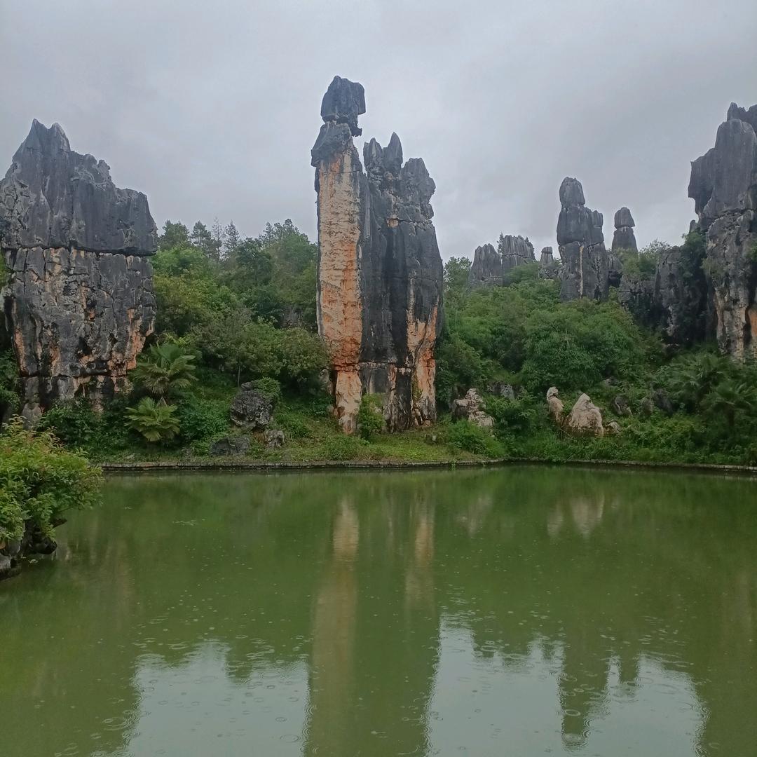 云南老郑包子铺