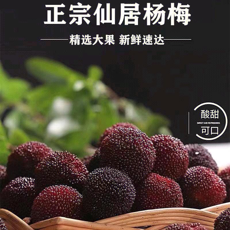 波仔电子商务商行，