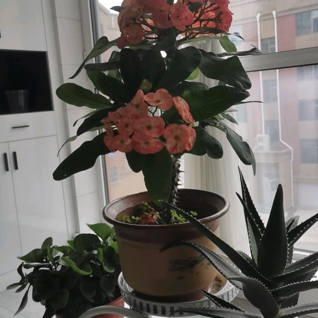 货车司机