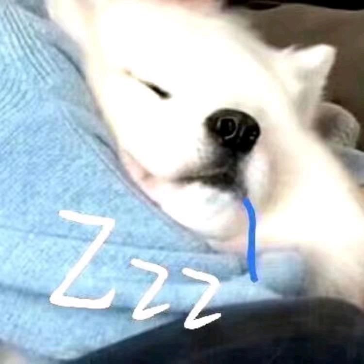 呆小布🐻