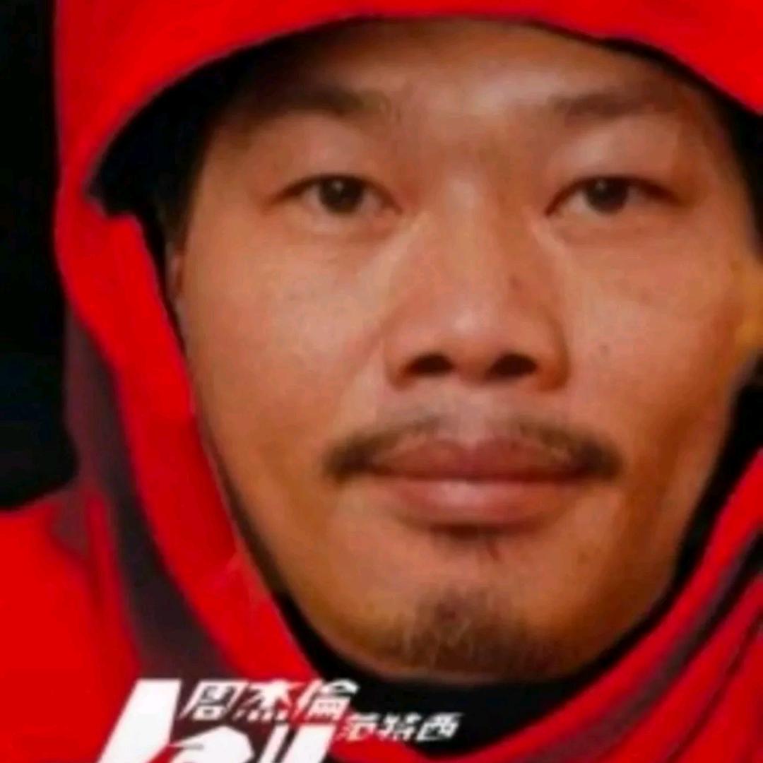 门前大桥下游过一群🦆