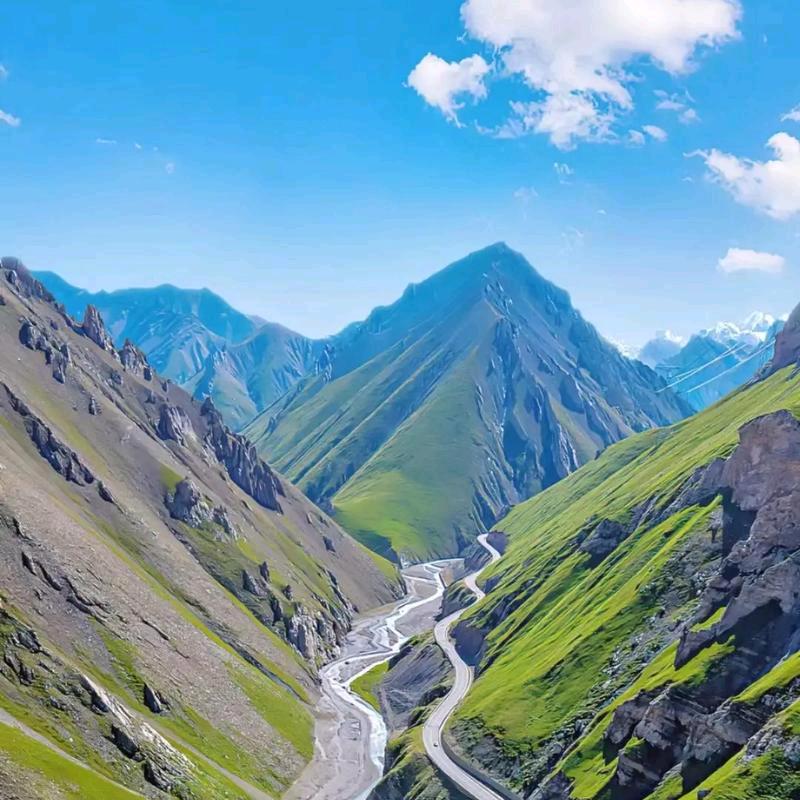 奔赴山海