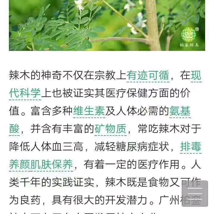 女汉子