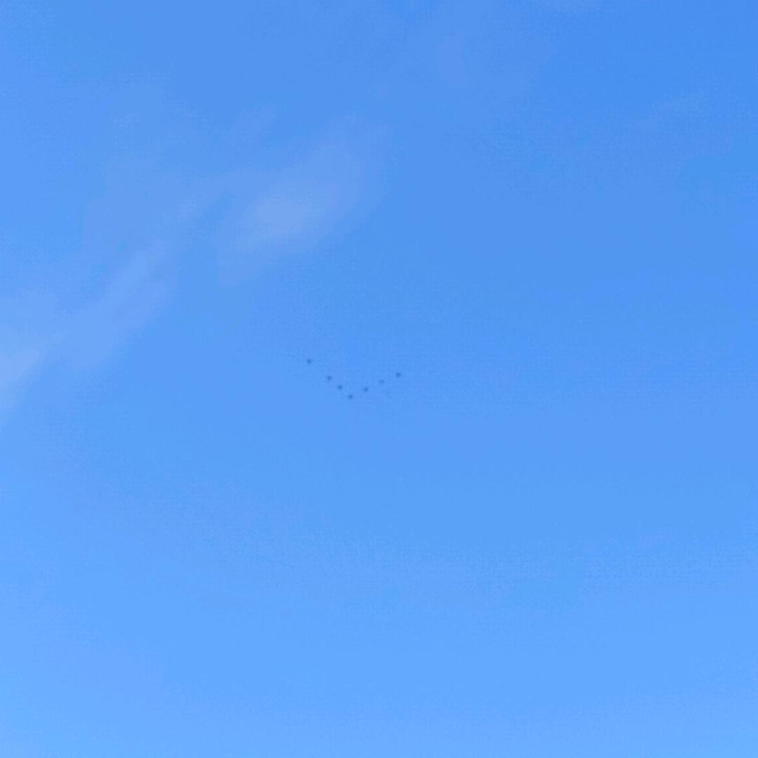 公Θ︸Θ子