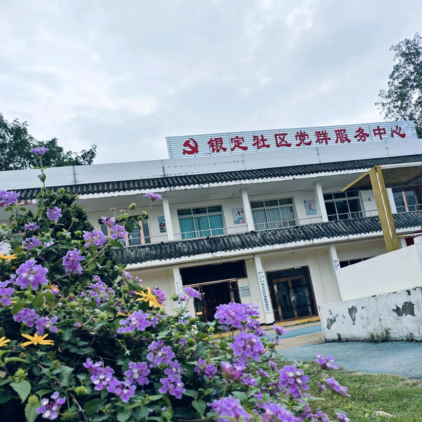 银定社区甄选