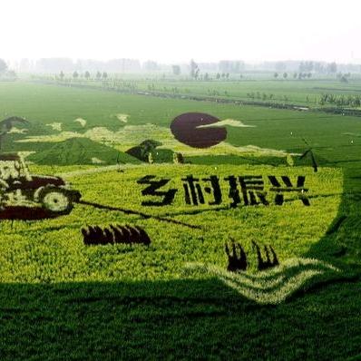 漠阳农夫