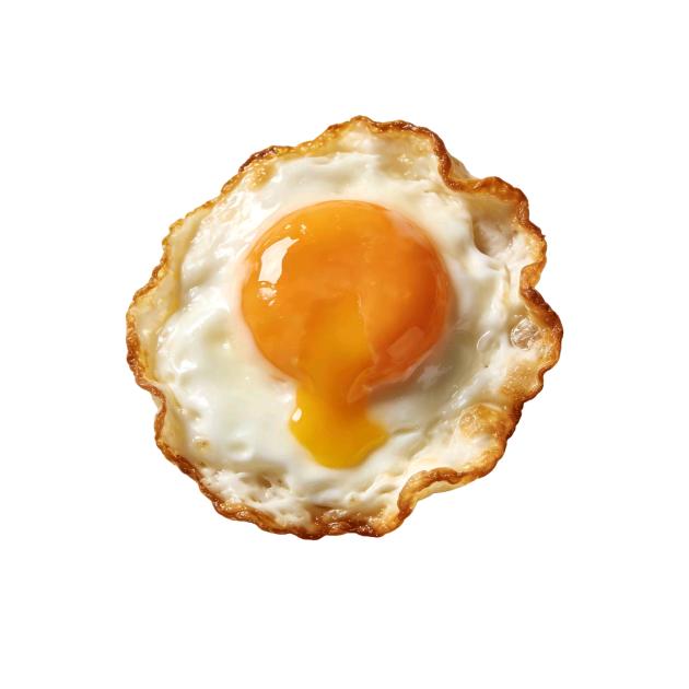 🌈饭团大王🍙