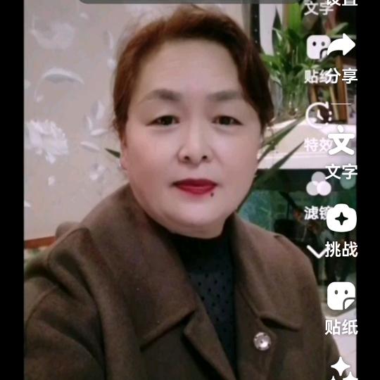 春因（好物在橱窗）