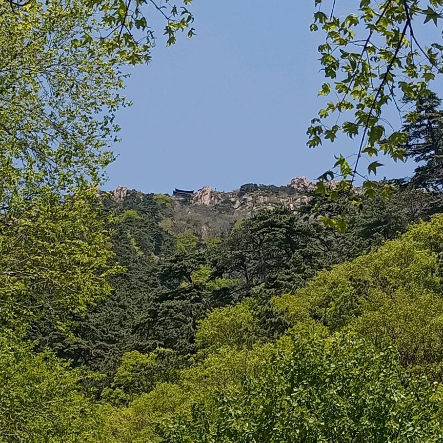 炜颢