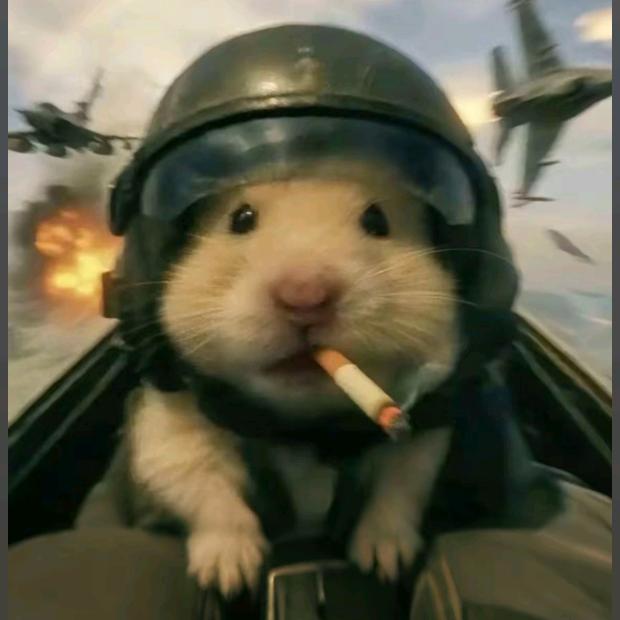 一人硬座25小时去过成都版+1人直飞武汉