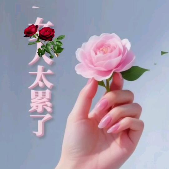 💞各自安好💞不再打扰💞