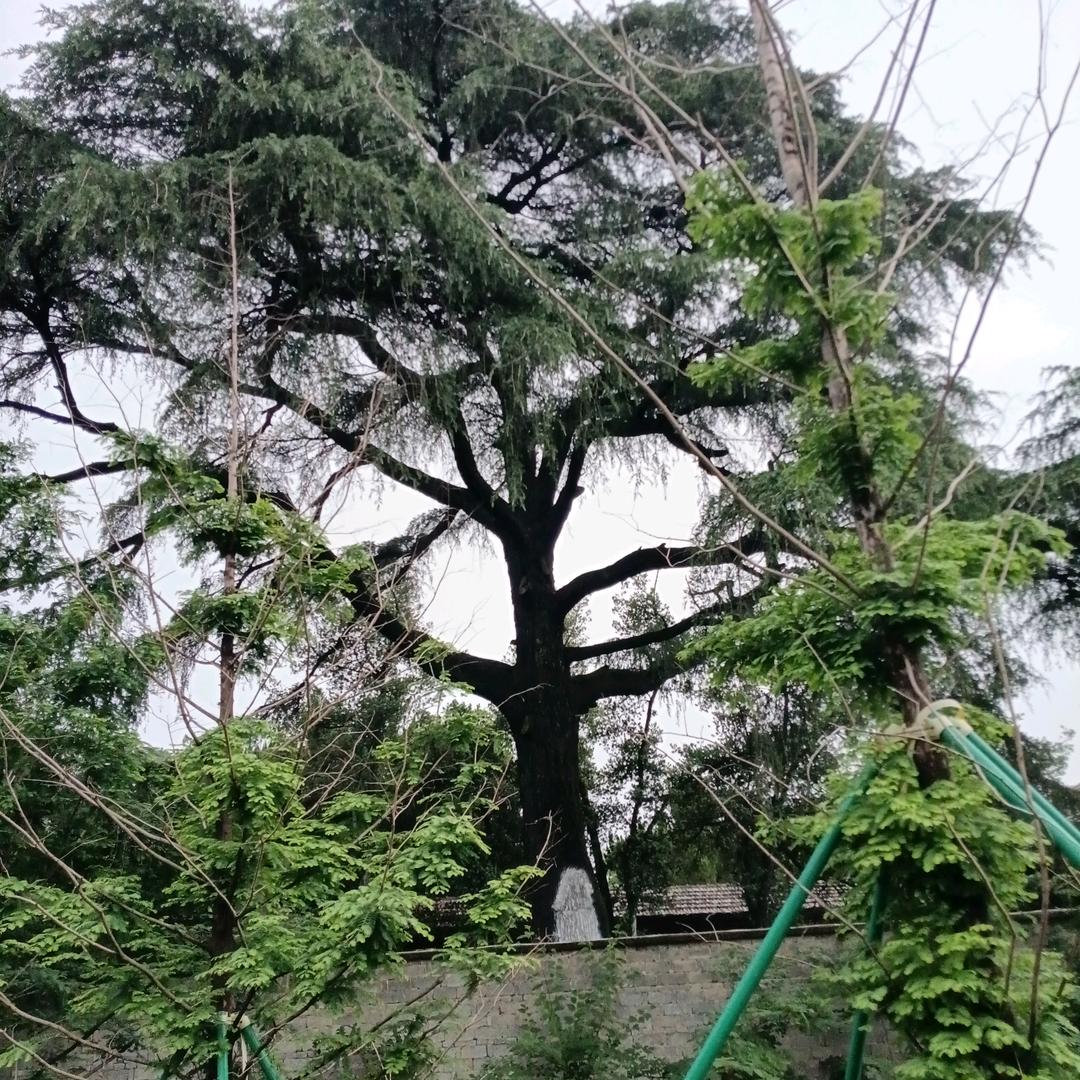 风景美如画，开心，天天有