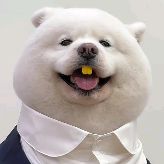 千千家居生活