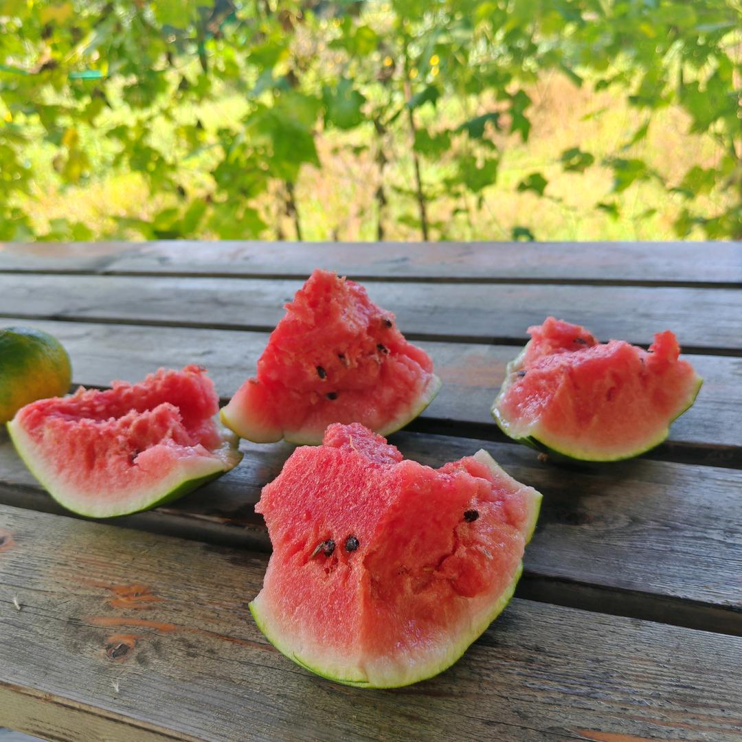 靠着反方向的钟