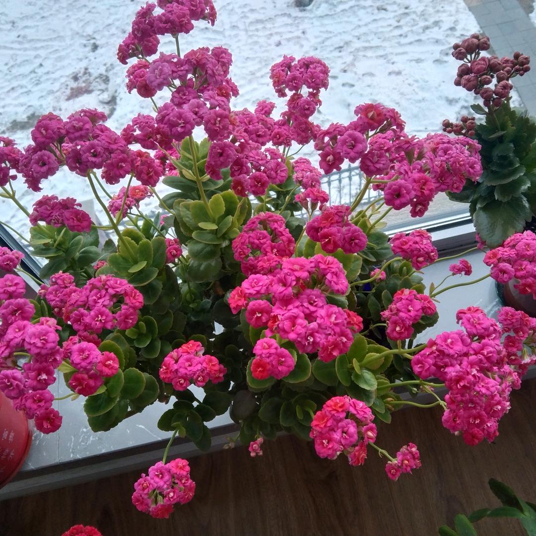 🌈幸运之星🌟