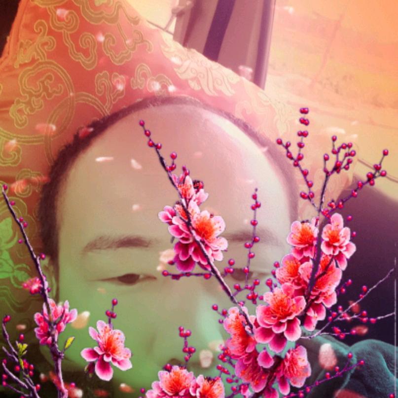 为明天专业收割，水稻，小麦，户外直播9点