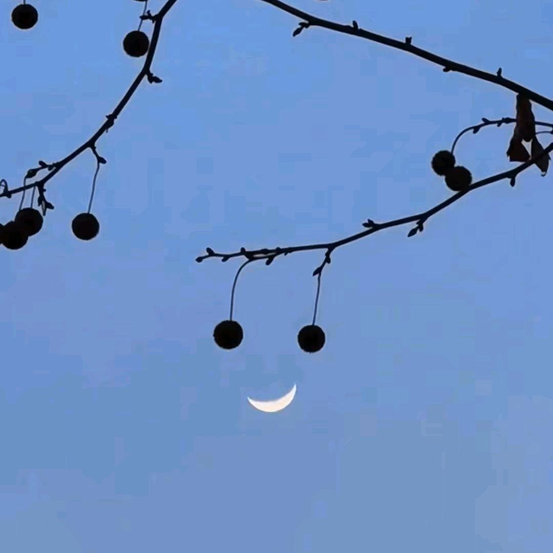 小蚂蚁