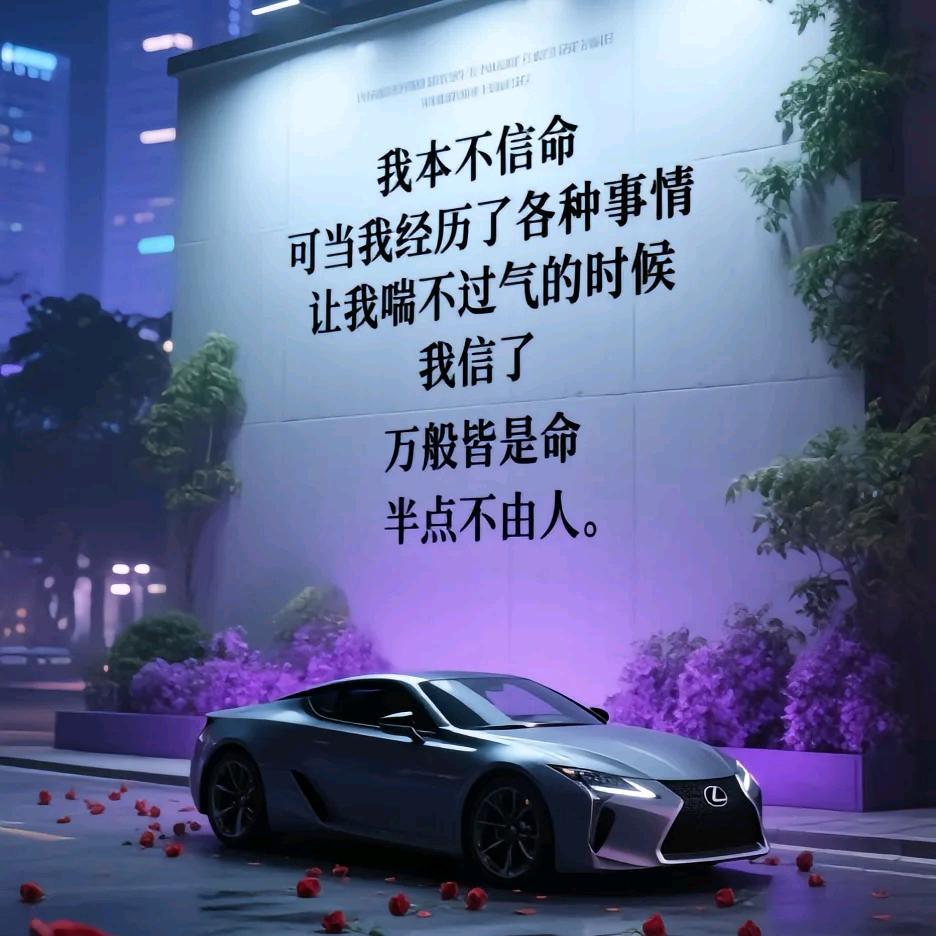 执迷不悟