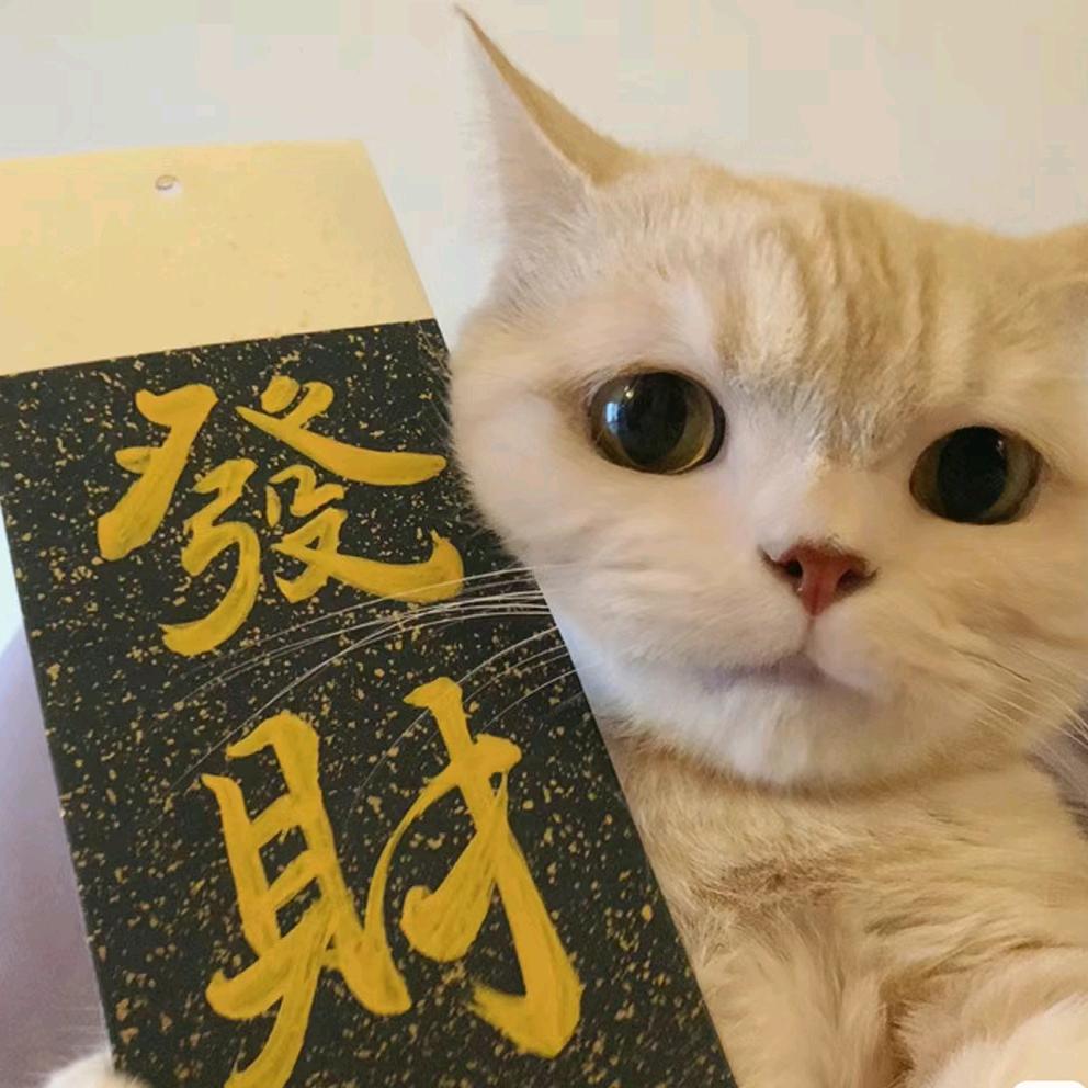 小乔（好物甄选）