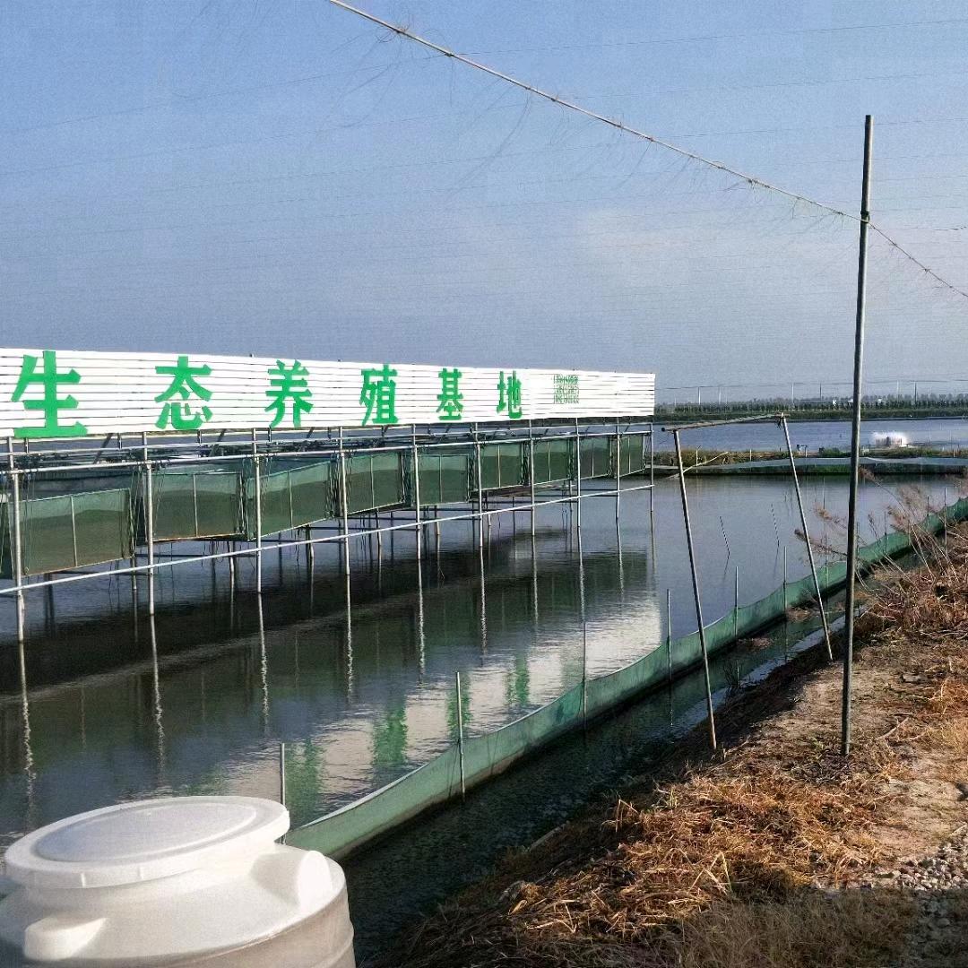 苏州夏家精品大闸蟹