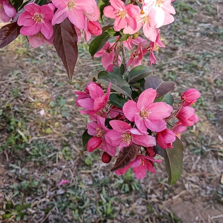 无名的我