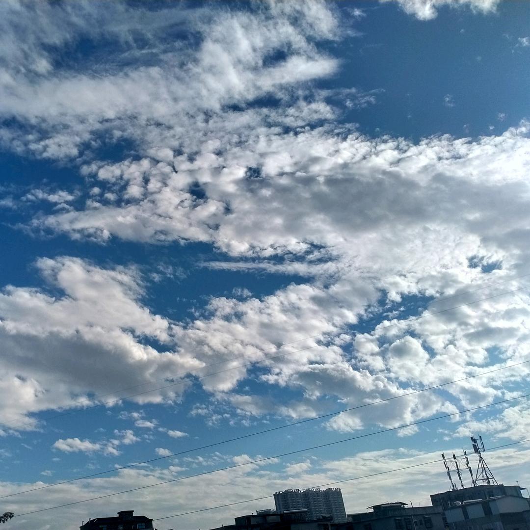 能锅锅