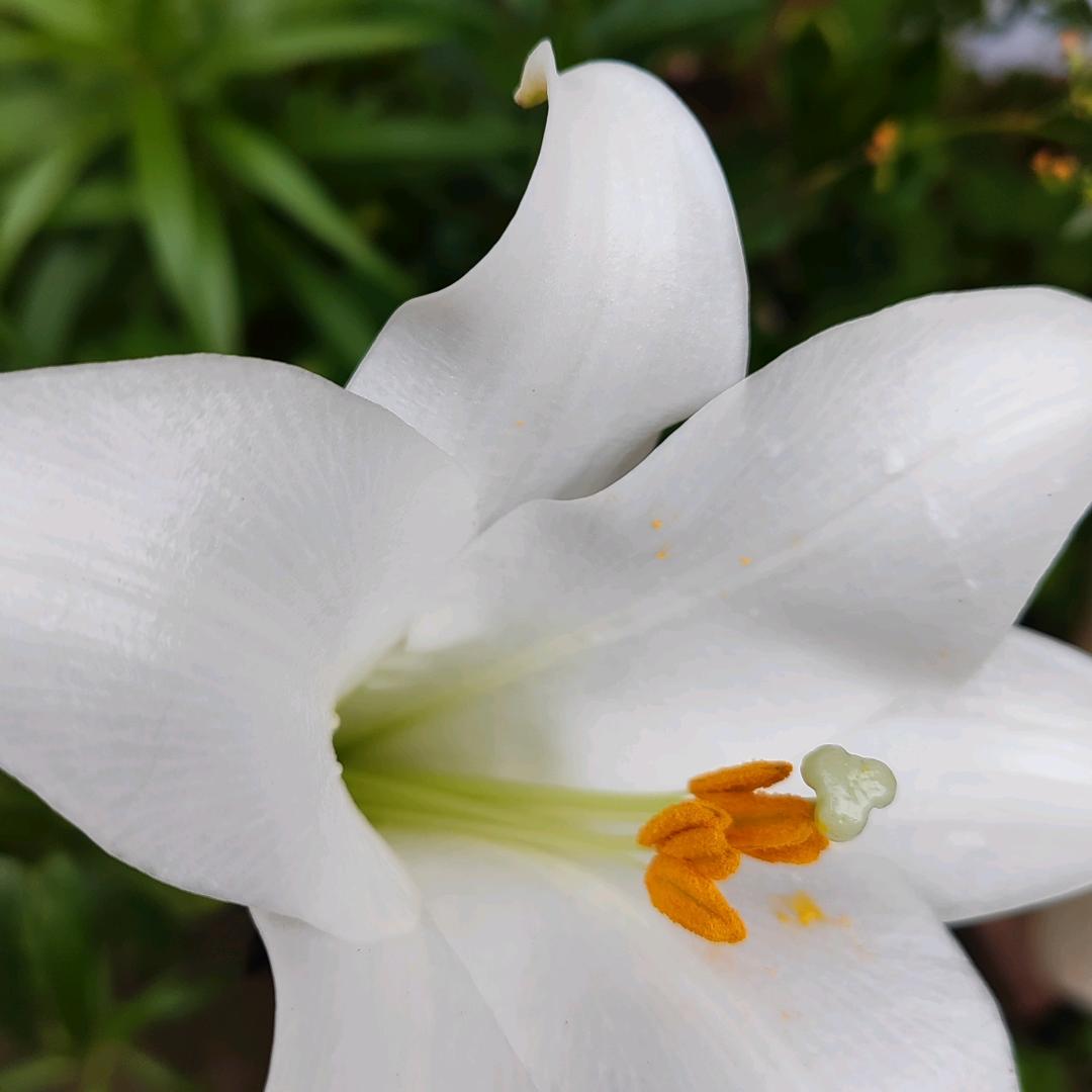 💞༊ღ᭄🐉霖ꦿ໌ᮨ້࿐☘️