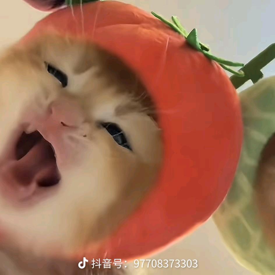 Jiaᴗiaᐝ